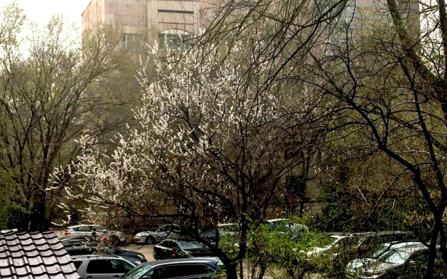 Apartments on Samal 1