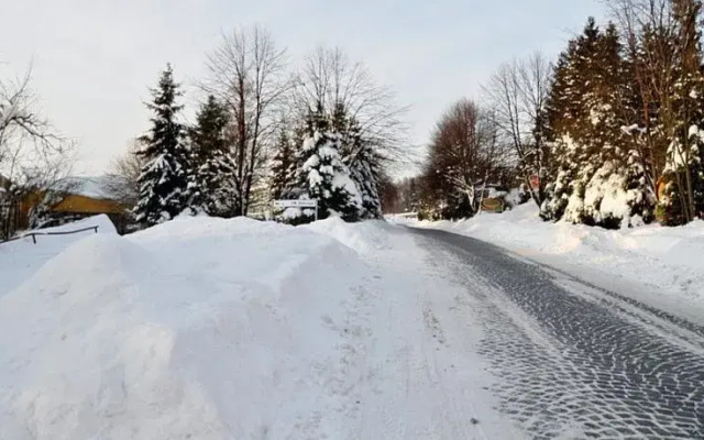 Storczyk