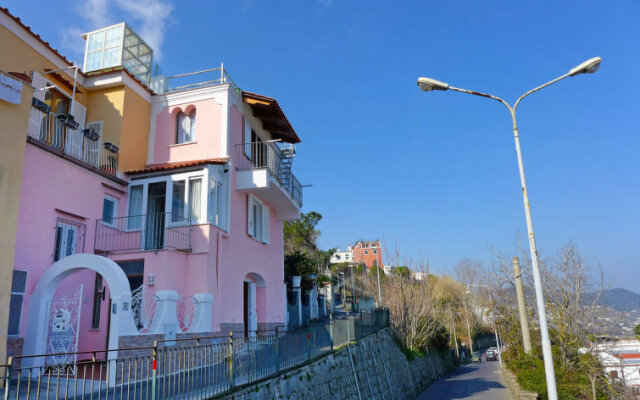 The Pink Ischia In Ischia