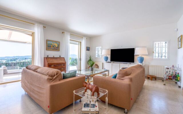 Belvedere 43085