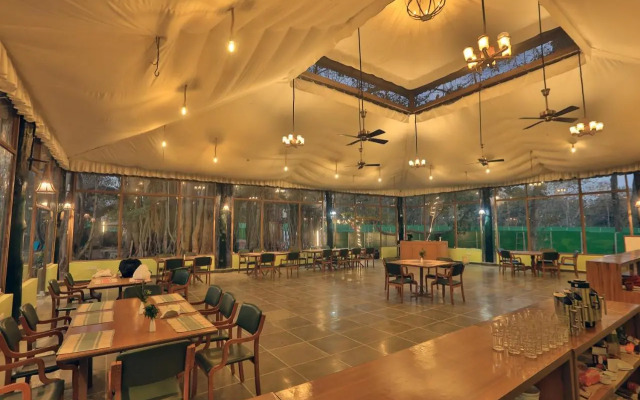 Bison Retreat - Pench