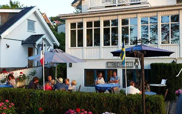 Strand Arild