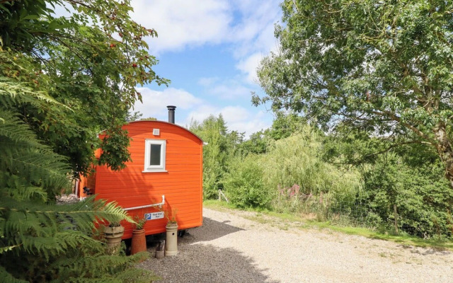 Red Kite at Wild Valley Huts