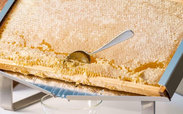 NH Collection Antwerp Centre