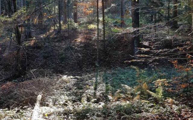 Domek u Hołąbków