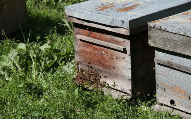 Ô Saveur de l'Instant