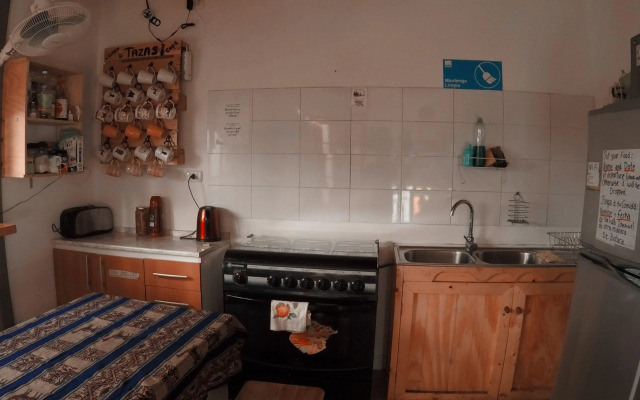 Rey Lagarto Hostel