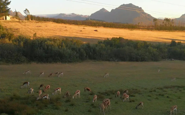 Wildlife Retreat on a Wine-Farm