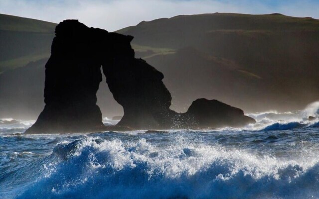 Cove View