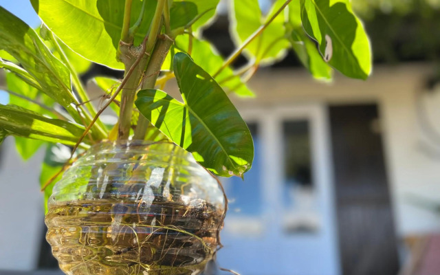 Ti' coin charmant Cilaos.