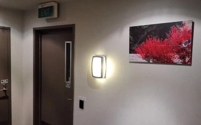 Auckland CBD Modern 2 Bedroom Apartment