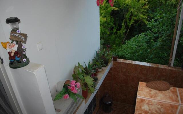 Guesthouse U Nataliy