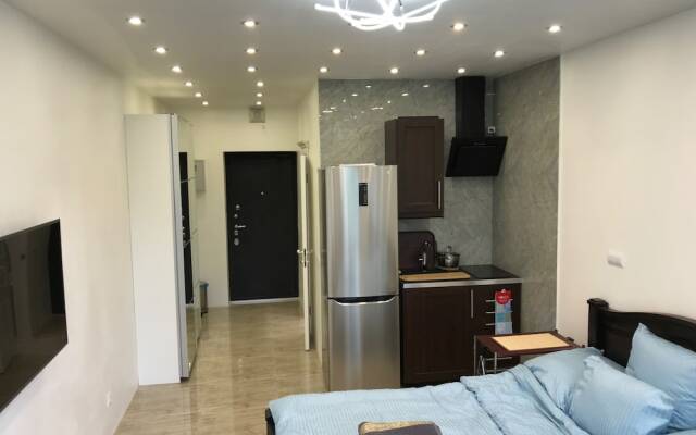 DZirconia Elagin Island Apartments