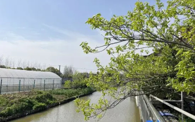 Shanghai Wuqi Xiaozhu Homestay