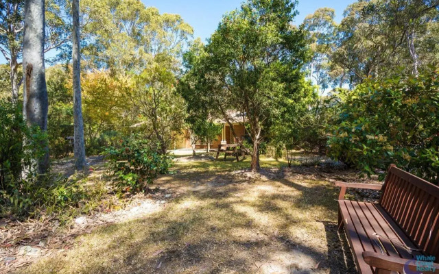 Cherrybush @ Mystery Bay