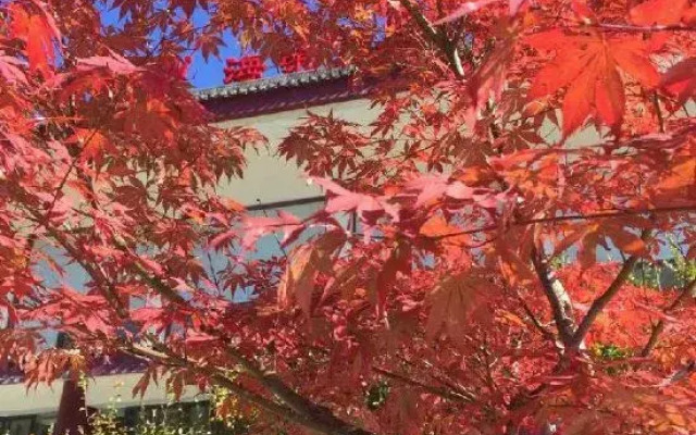 Ningshan Crown Fengxuan Hotel