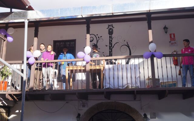 Magicpacker Hostel