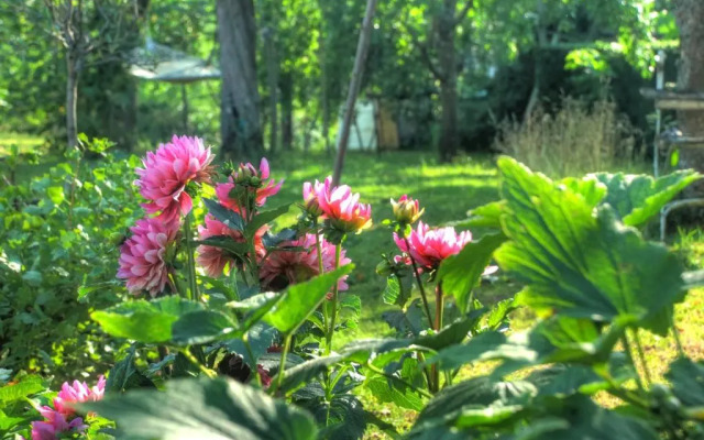 Ferienwohnung am Obstgarten