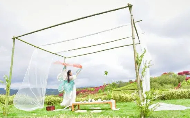 Yuyao Old Shen's Tea House