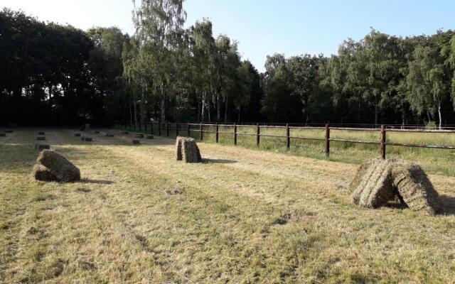 Villa Berk en Heide