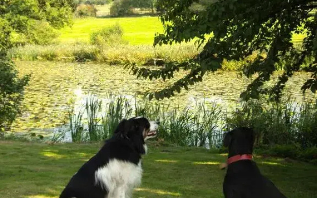 Abbey Farm Bed and Breakfast