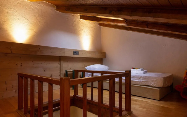 R Sidence Androsace 53