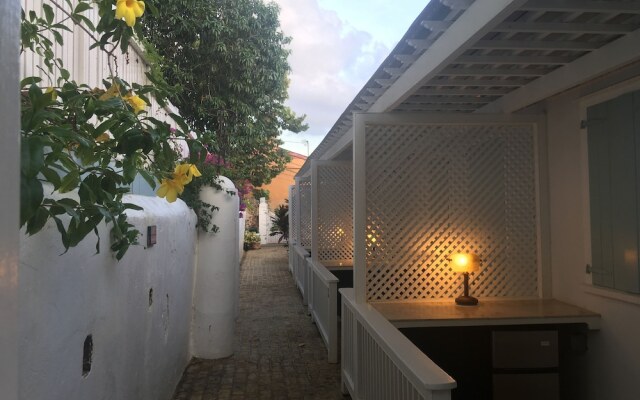 At Home in the Tropics