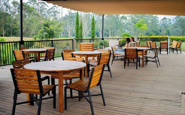 Monarch Campestre
