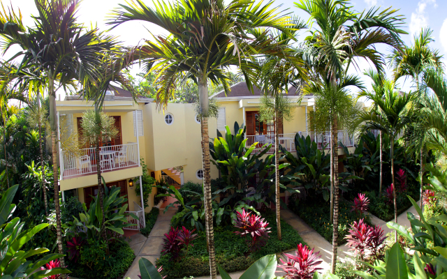 Negril Palms