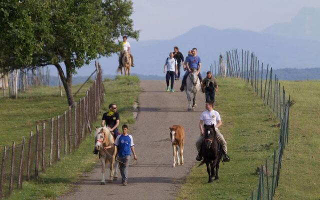 Al Bosco delle Api