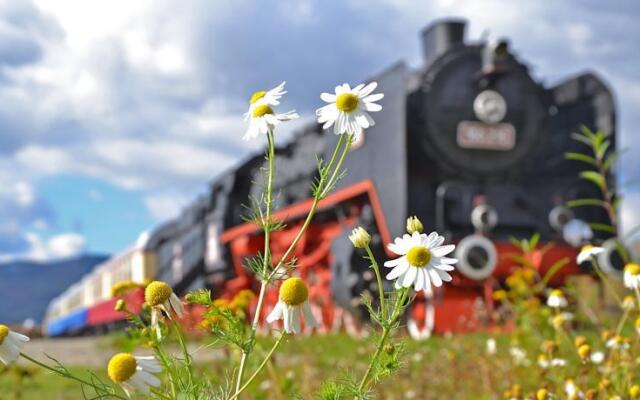 Hotel Train "Carpatia Express"