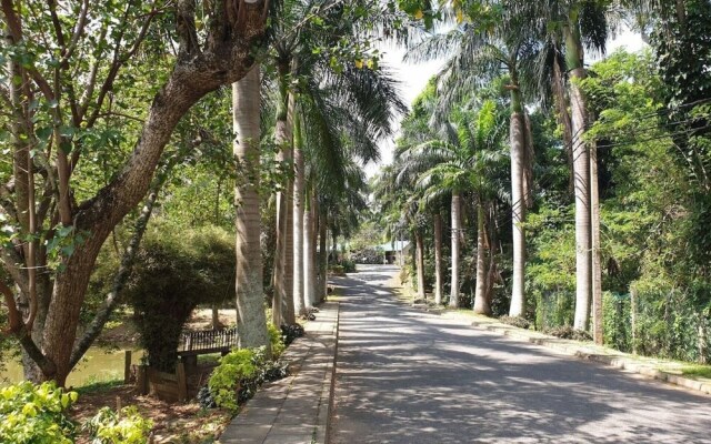 Explore Central Srilanka