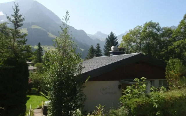 Schwalbe Adelboden in Adelboden