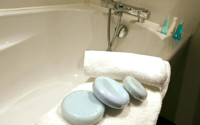 Holiday Inn Bordeaux Sud - Pessac by IHG