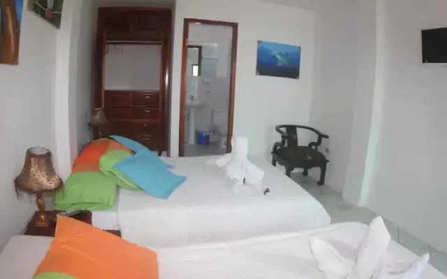 The Island Home