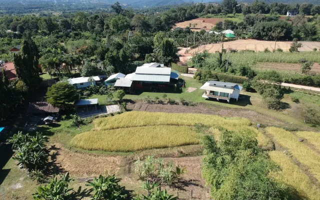Zuu Tee Organic Farm & Roastery
