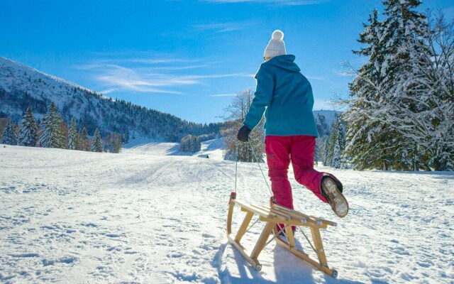 Chalet Snowflake IIb 20m From Ski Trail