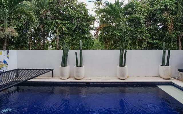 Margarita Surf Hostel Canggu