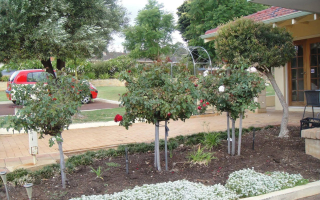 Armadale Cottage Bed & Breakfast