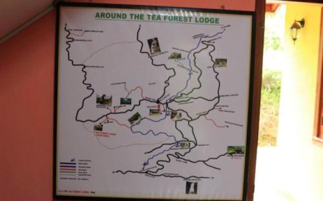Yoho Tea Forest Lodge