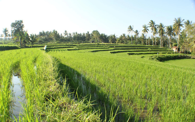 Telagamas Guest House