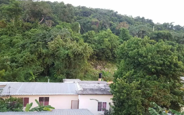 Roof Grande at Casa Feliz