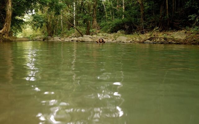 A Peace Of Paradise