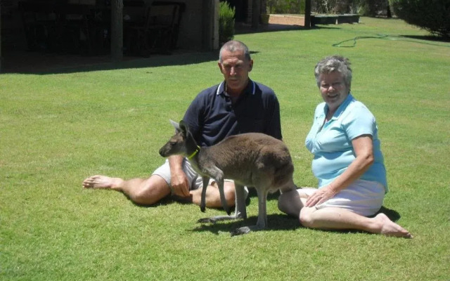 Woollybush Guest House