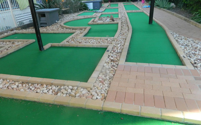 Princess Palm on the Beach