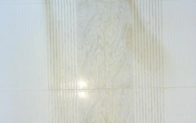 Hotel Parvati Palace