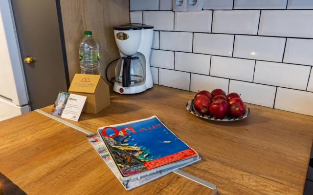 Missafir Impressive Flat in the Heart of Cihangir