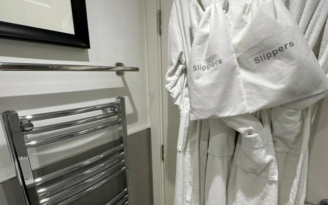 The Little Beech Tree