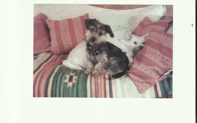 Le Colombier De Cyrano Et Roxane