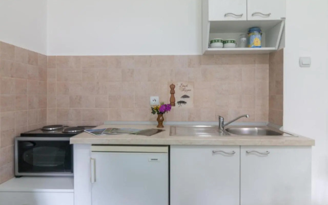 Drina - Bajina Basta